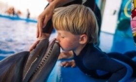 Видеогалерея